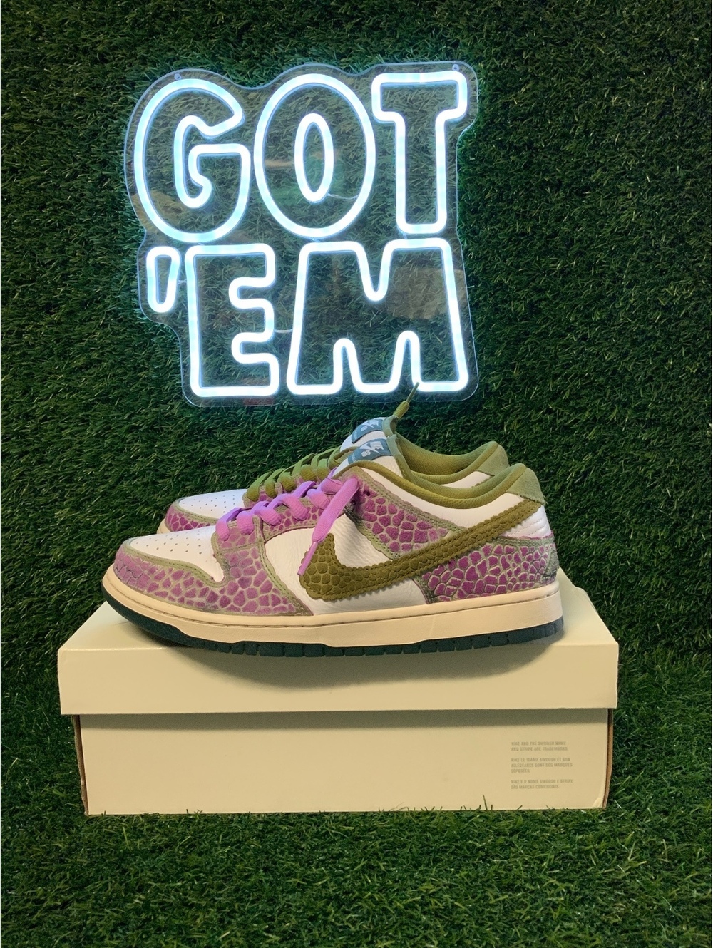 Nike SB Dunk Low Pro Alexis Sablone Chameleon HJ3386-300 Size 9.5 Used